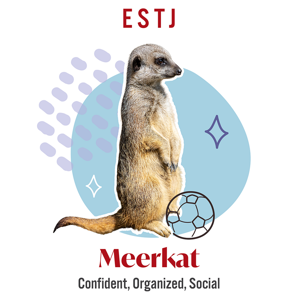 ESTJ - Meerkat