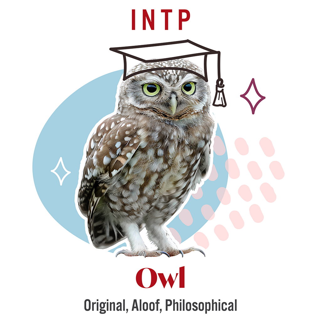 INTP - Owl