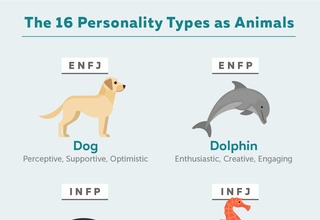 Personality Type Infographics | Truity
